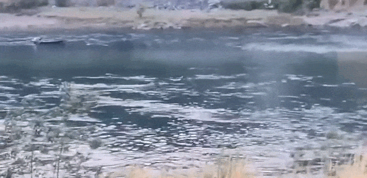 640.gif